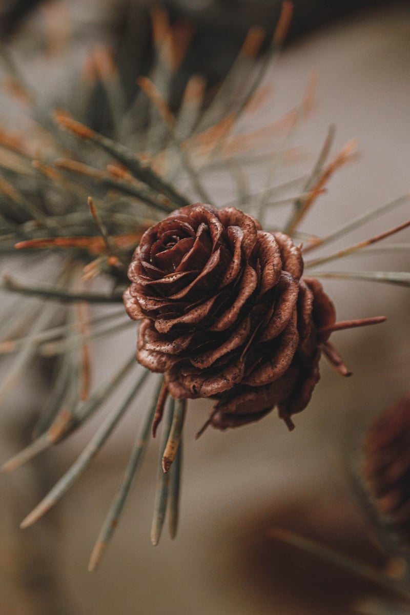 Modern chic flower arrangement